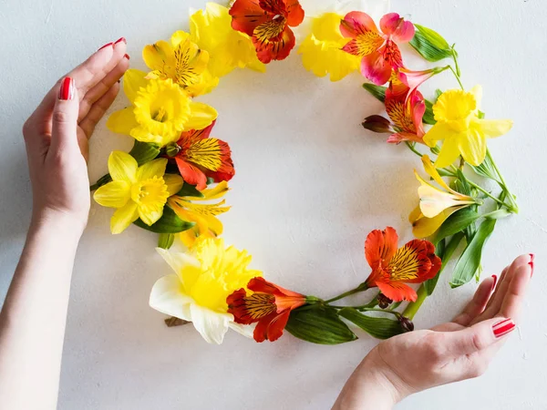 Preservación de la naturaleza flora protección flor corona — Foto de Stock