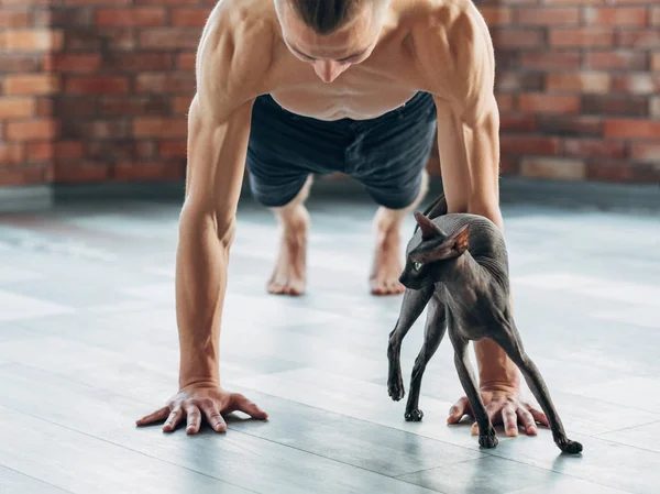 Yoga entrenamiento fuerte tonificado músculo ajuste hombre gato cuerpo —  Fotos de Stock