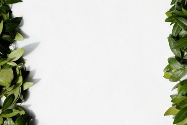 deniz salyangozu yeşillik dekor floristik sanat bırakır