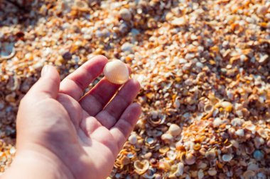 Turizm sahil tatil el kabuk plaj seyahat