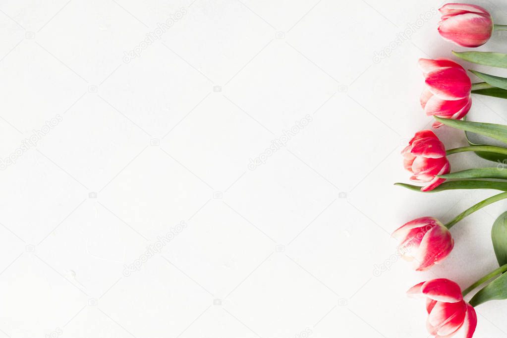 red tulips white floral bouquet composition