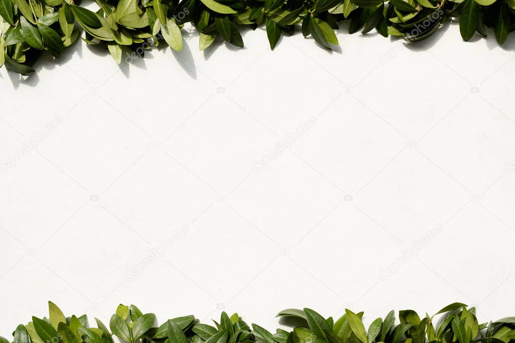 periwinkle leaves foliage frame natural decor