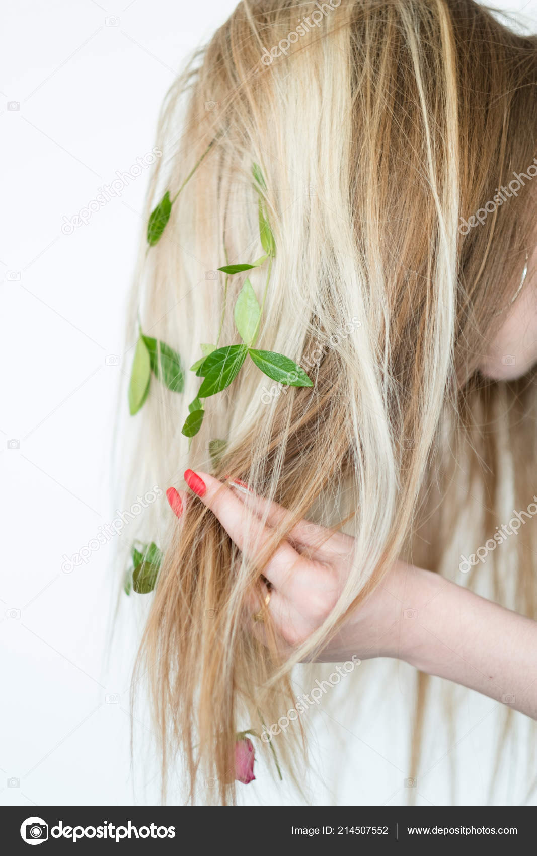 Folk Hair Remedy Organic Shampoo Recipe Homemade Stock Photo