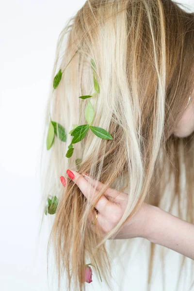 Народное средство для волос органический шампунь рецепт домашний — стоковое фото