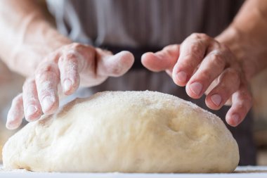 breadmaking food culinary man hands knead dough clipart