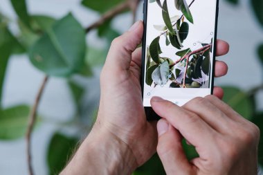 Mobil fotoğrafçılık sanat teknoloji yenilik telefon