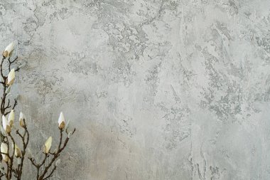 ihale şube bloom sıva gri duvar en az dekor