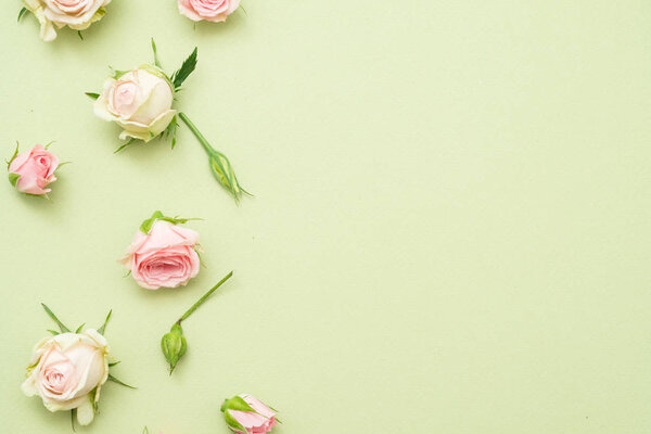 white roses layout background flowers light green