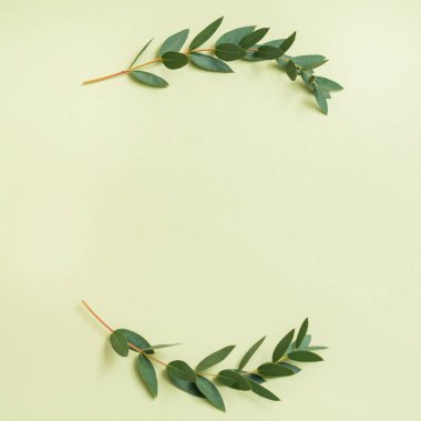 zeytin dalı tatil yeşil arka plan tebrik