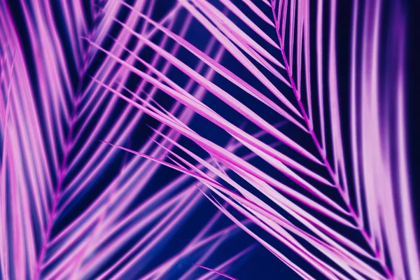 Tropical foliage. Neon flora art concept. Pink vibrant design.