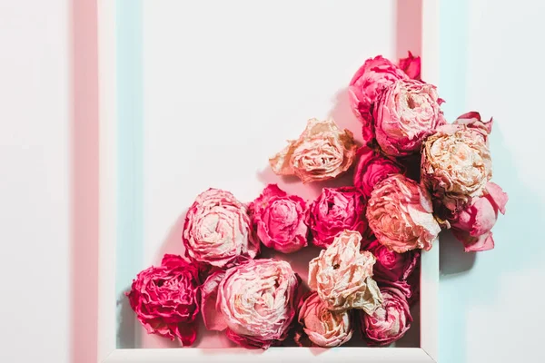 Composición de flores floristería arreglo de rosa seca — Foto de Stock