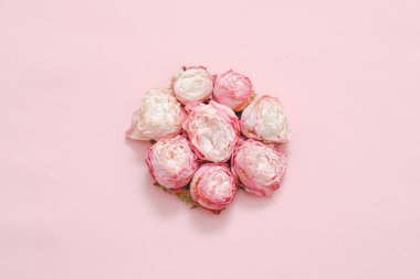 pembe gül kafa daire düzeni düzenleme çiçek