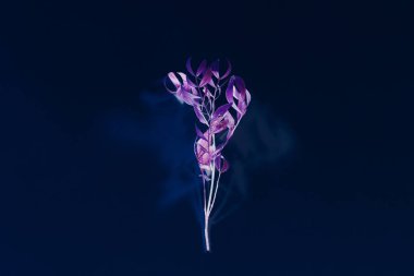 çiçek kompozisyon gerçeküstü sanat neon mor kök