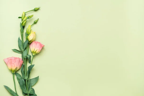 Pembe eustoma çiçek çiçek düzen yeşil arka plan — Stok fotoğraf