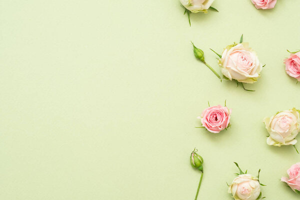 floral design fresh rose border green background