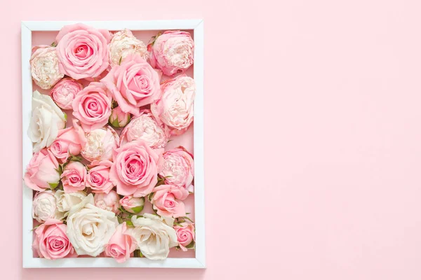 Diseño floral rosa rosa marco blanco felicitación — Foto de Stock