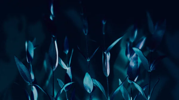 Laub Muster Hintergrund konzeptionelle florale Dekor — Stockfoto