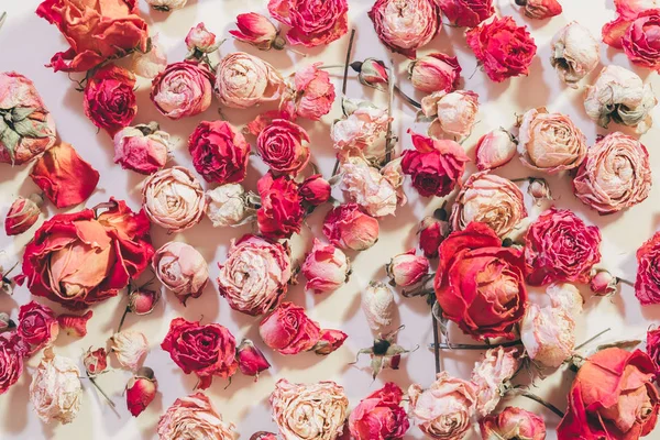 Kutlama çiçek arka plan gül aranjmanı — Stok fotoğraf