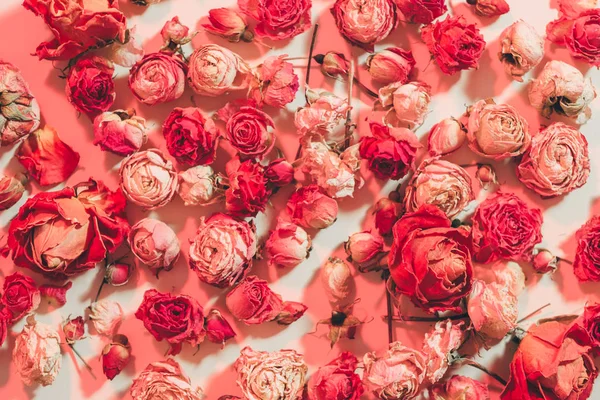 Rojo flor fondo festivo patrón aleatorio rosa — Foto de Stock