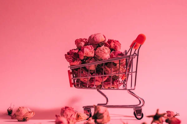 conceptual flower shopping red background cart