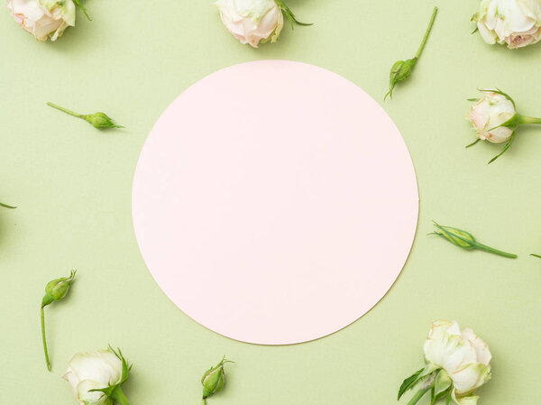 Greeting card circle green background rose decor — Stock Photo, Image