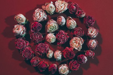 çiçek dekor sarmal kompozisyon arka plan gül