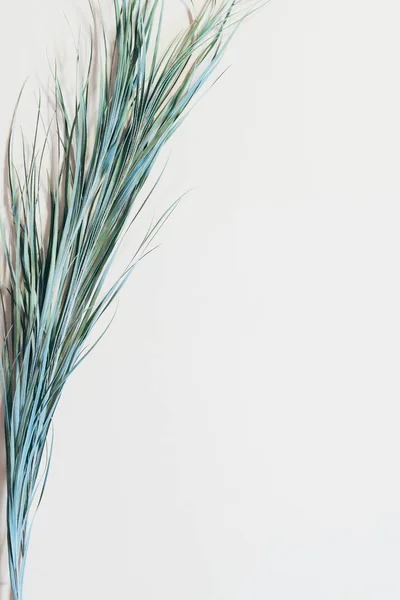Grüne Palmblätter Dekor einfaches tropisches Design — Stockfoto