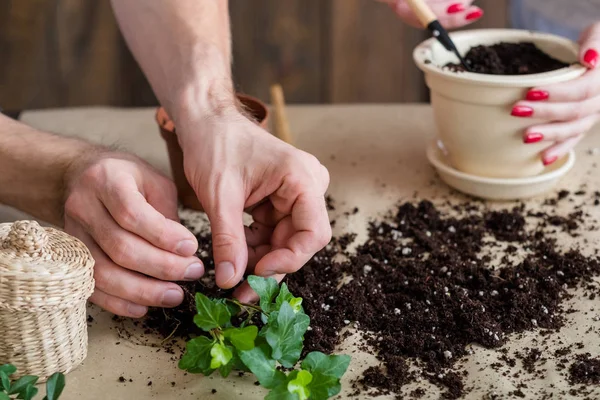 Acasă plante transplant îngrijire eco cuplu de familie — Fotografie, imagine de stoc