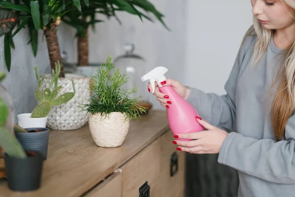 Home giardinaggio natura cura donna acqua pianta — Foto Stock