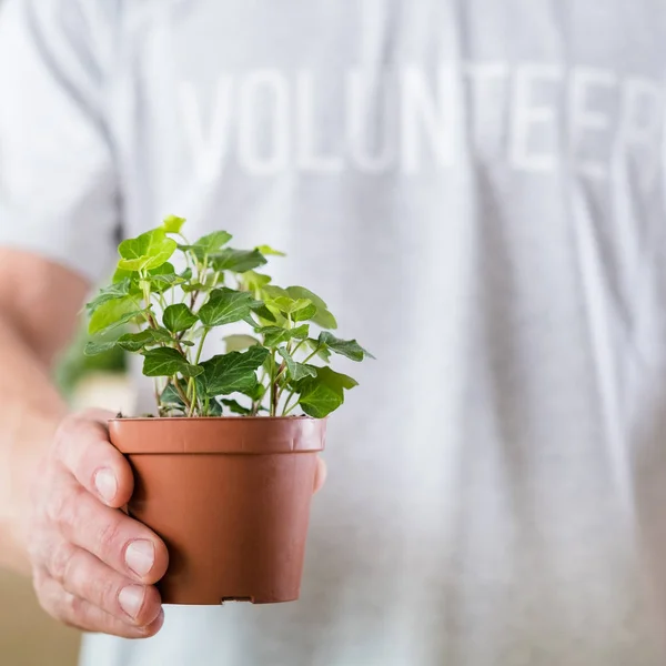 Ecológico voluntario hombre planta protección de la naturaleza —  Fotos de Stock