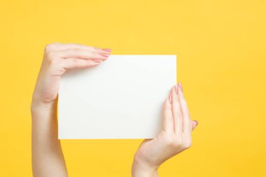 bilgi kağıt mockup kadın el kopya alanı