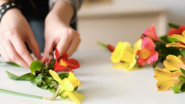 Florista organizar composición de flores hobby arte — Vídeo de stock