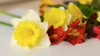 dekor sarı nergis kırmızı alstroemeria çiçek