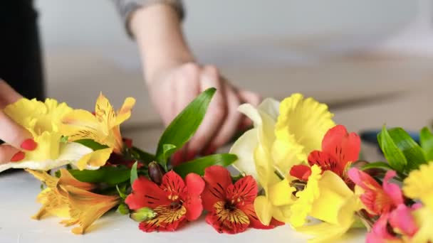 Blomma inredning blommiga hobby narcissus alstroemeria — Stockvideo