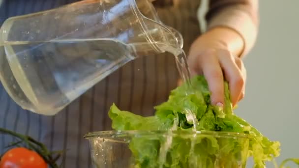 Salat Essen Kochen Hygiene waschen Blätter Wasser — Stockvideo