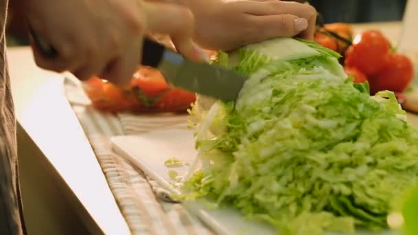 Yemek pişirmek salata Chop kıymalı lahana hazırlanıyor — Stok video