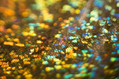 Yılan cilt dokusunu bokeh arka plan bulanıklık