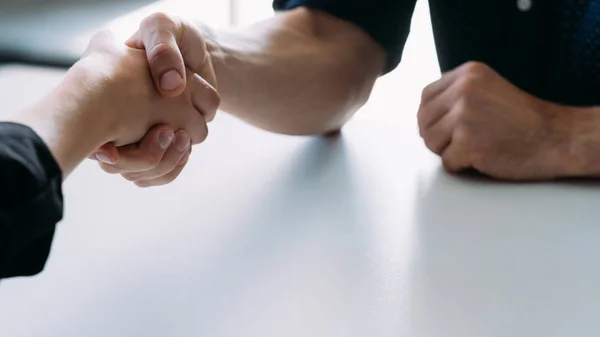 Negócio parceria estilo de vida corporativo handshake — Fotografia de Stock
