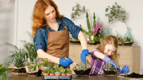 Diy florarium aile iş hobi çiçekçi dükkanı — Stok video