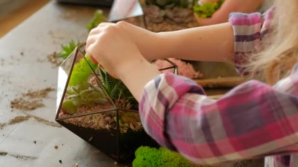 DIY florarium hobby naturlig handgjorda gåva idé — Stockvideo