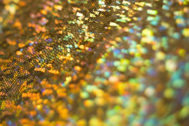 Yılan cilt dokusunu bokeh arka plan bulanıklık