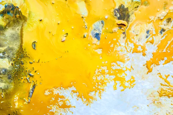 Abstracto mar mejillones amarillo pintura fondo —  Fotos de Stock