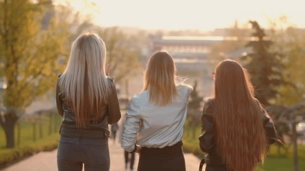 Damas disfrutando de la puesta del sol diciendo adiós día — Vídeo de stock