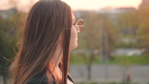 magnifique brunette dame profiter coucher de soleil souriant 