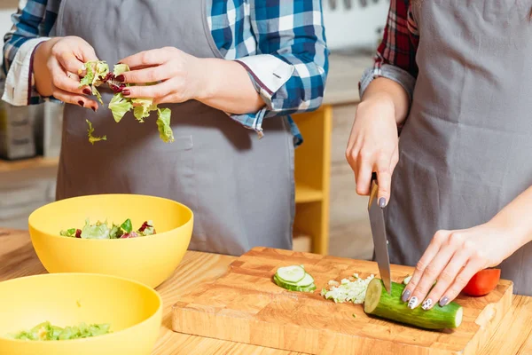 Estilo de vida vegetariano moderno cocina familiar ocio —  Fotos de Stock