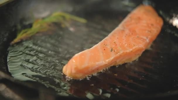 Fisch kochen Rezept Lachsforelle Bratpfanne — Stockvideo