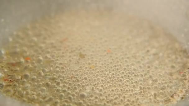 Refeição preparação de alimentos cozimento temperos vinagre fervura — Vídeo de Stock