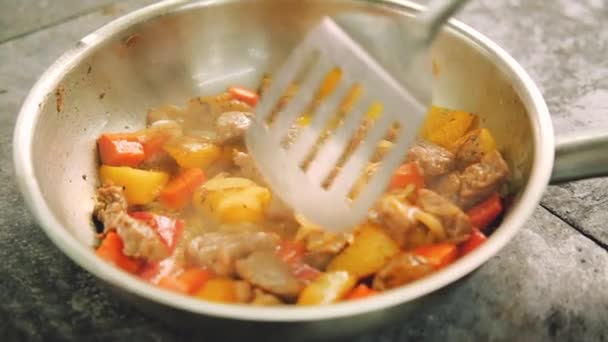 Préparation du ragoût cuisson des aliments mélanger les légumes de viande — Video