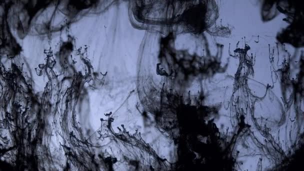 Black ink motion horror fear halloween paint swirl — Stock Video