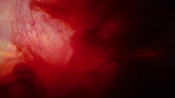 Красные чернила движение темная вода Введение эффекта крови — стоковое видео